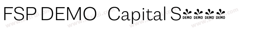 FSP DEMO   Capital S字体转换